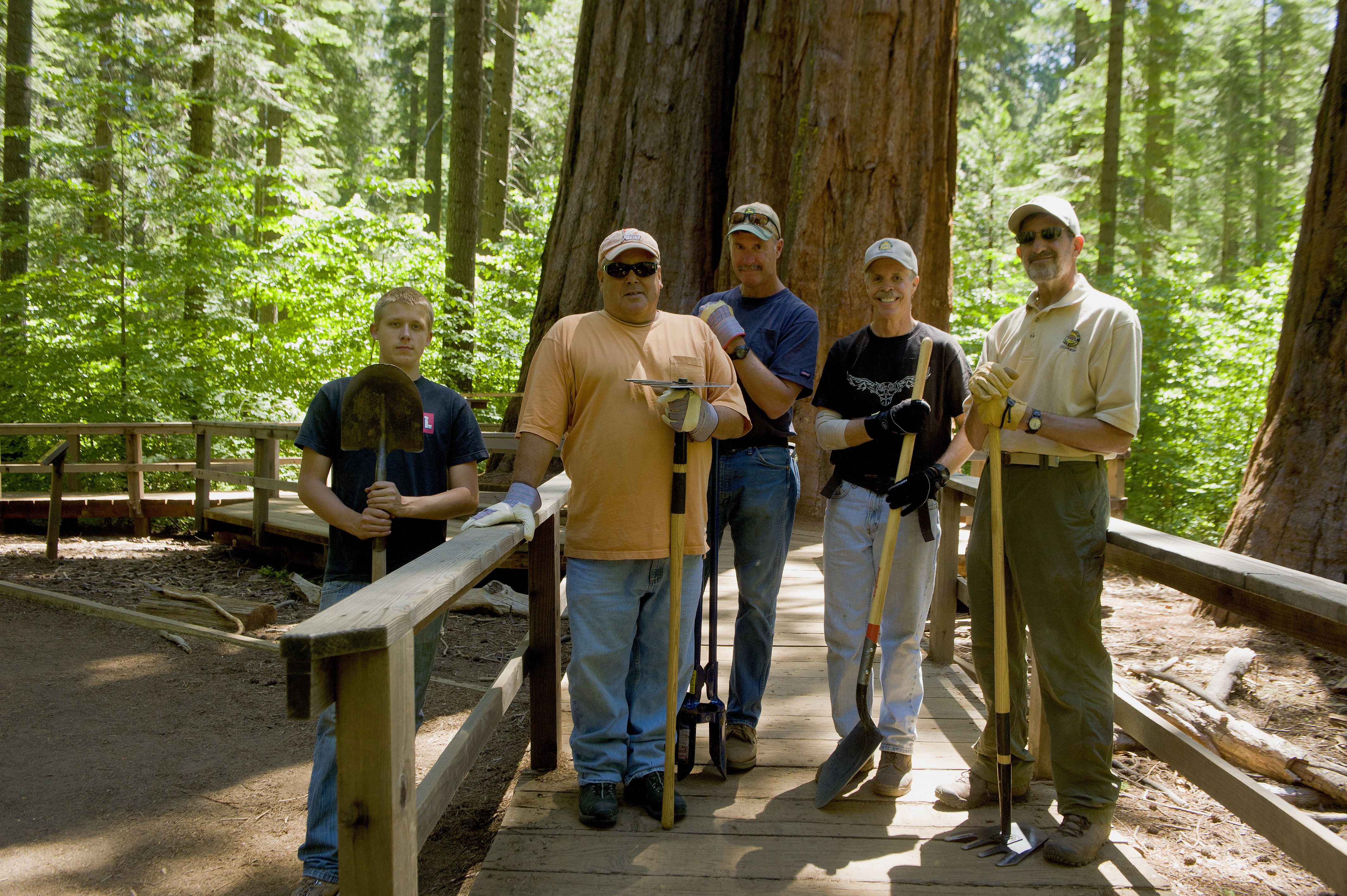 Calaveras Big Tree Maint.